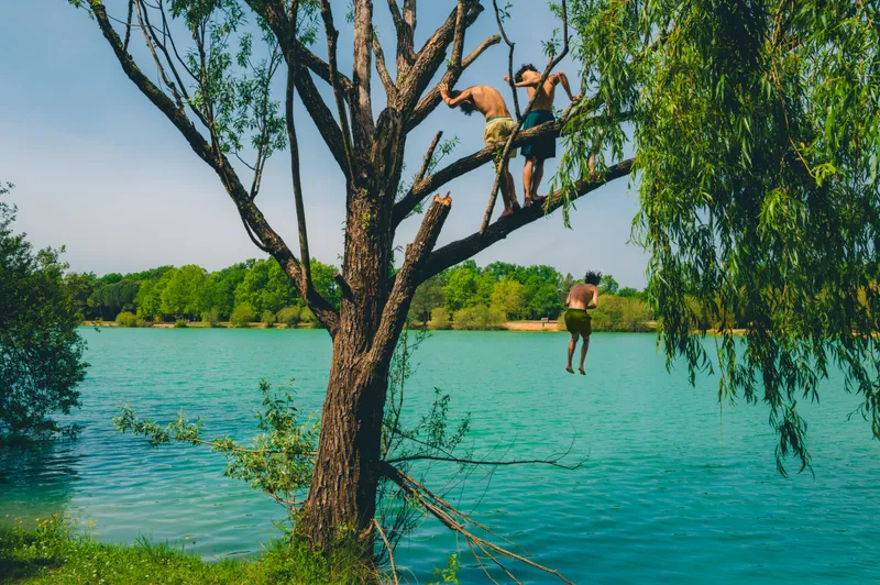 Boys climb a willow tree overhanging a turquoise lake while one leaps mid-air into the water below.