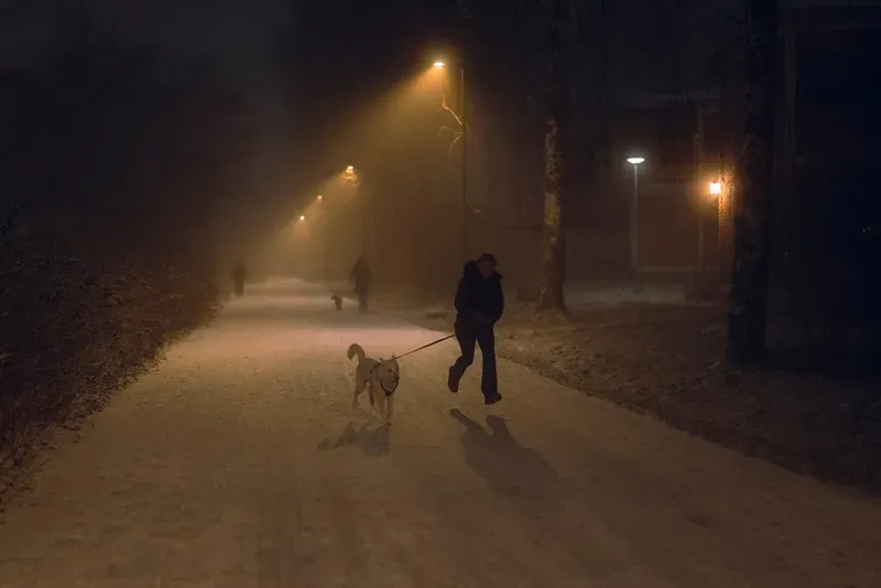 A man jogs along a foggy path walking a light-colored dog on a leash, other pedestrians visible under a row of streetlamps.
