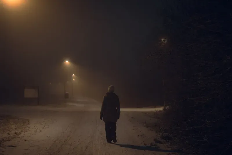 A figure in a hooded coat walks away down a foggy snowy path past a noticeboard and a row of streetlamps.