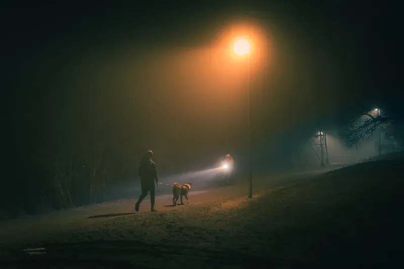 A person walks a dog on a leash down a foggy path at night, a cyclist's headlamp beam cutting through the mist behind them.