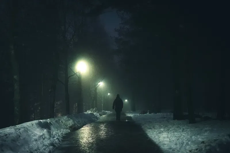 A person walks away down a misty forest path lit by a greenish streetlamp, dark trees and patchy snow on either side.