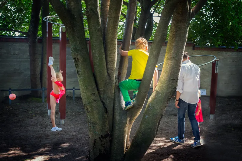 Children in colorful outfits climb and dangle from a tree between playground rings, dappled sunlight filtering through the leaves.