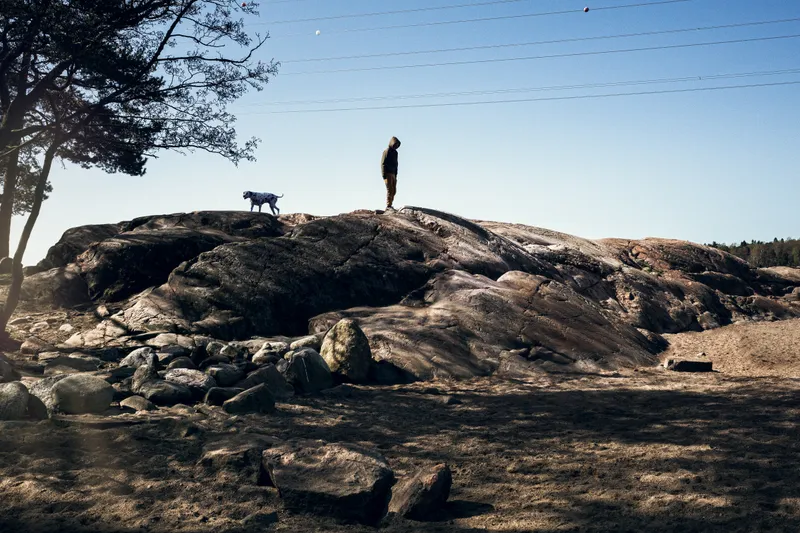 A hooded man and a dalmatian stand silhouetted atop a bare rocky outcrop under a clear blue sky crossed by power lines.