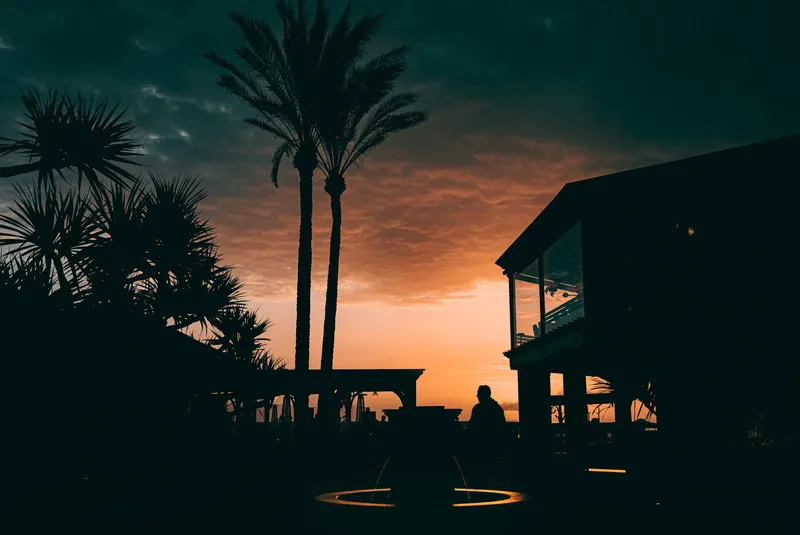 Palm trees and a building silhouette against a vivid orange sunset sky, a fountain glowing in the foreground.