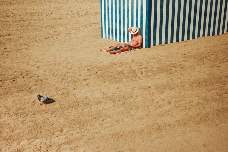 A man in a straw hat reads in the shade of a striped beach hut, a pigeon standing alone on the sand nearby.