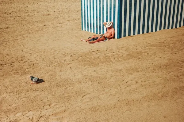 A man in a straw hat reads in the shade of a striped beach hut, a pigeon standing alone on the sand nearby.