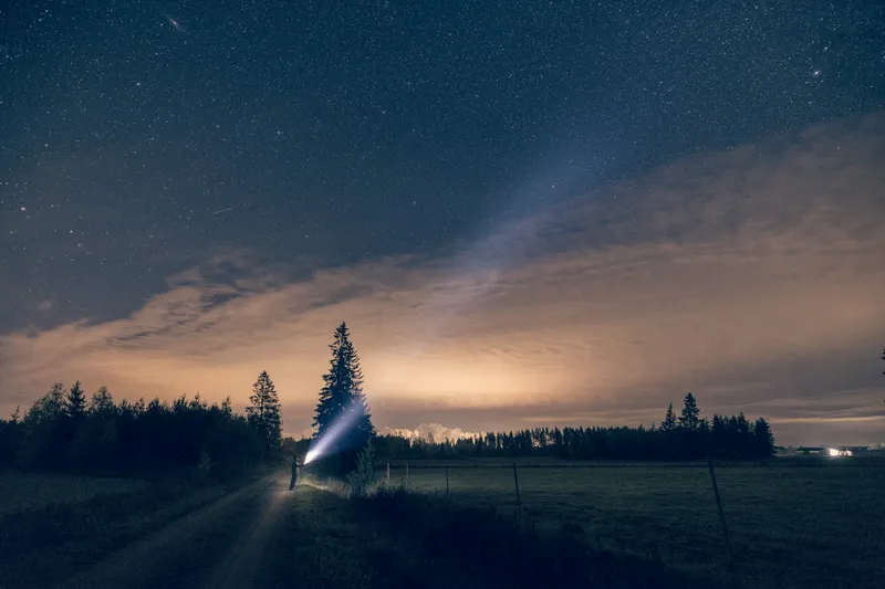 A person shines a flashlight up into a star-filled night sky beside a lone pine tree at the edge of a dark field.