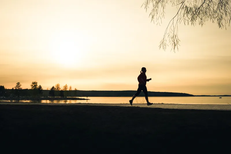 A runner is silhouetted against a golden sunset along a still lakeshore, framed by a low-hanging birch branch.